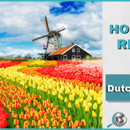 An Honest Review of DutchPod101 With Image of Dutch Tulip Field