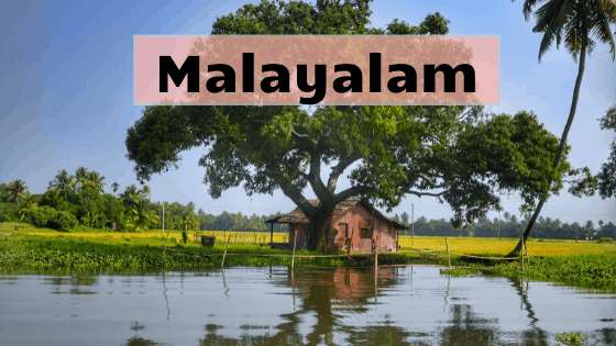 Malayalam Image
