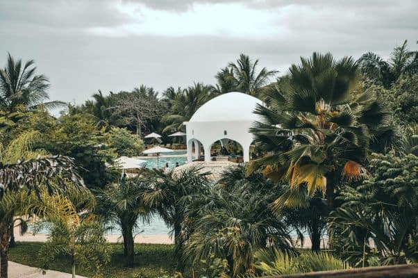 An outdoor swimming pool partially obscured by trees in Mombasa