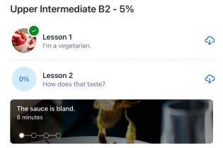 Text reads, "Upper intermediate B2 - 5%". Two subheadings read, "Lesson 1, I'm a vegetarian," and "Lesson 2, How does that taste?"