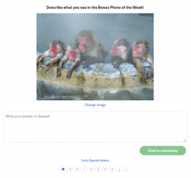 Screenshot of a writing prompt in the Busuu platform. There is a picture of five monkeys relaxing in a natural hot spring.